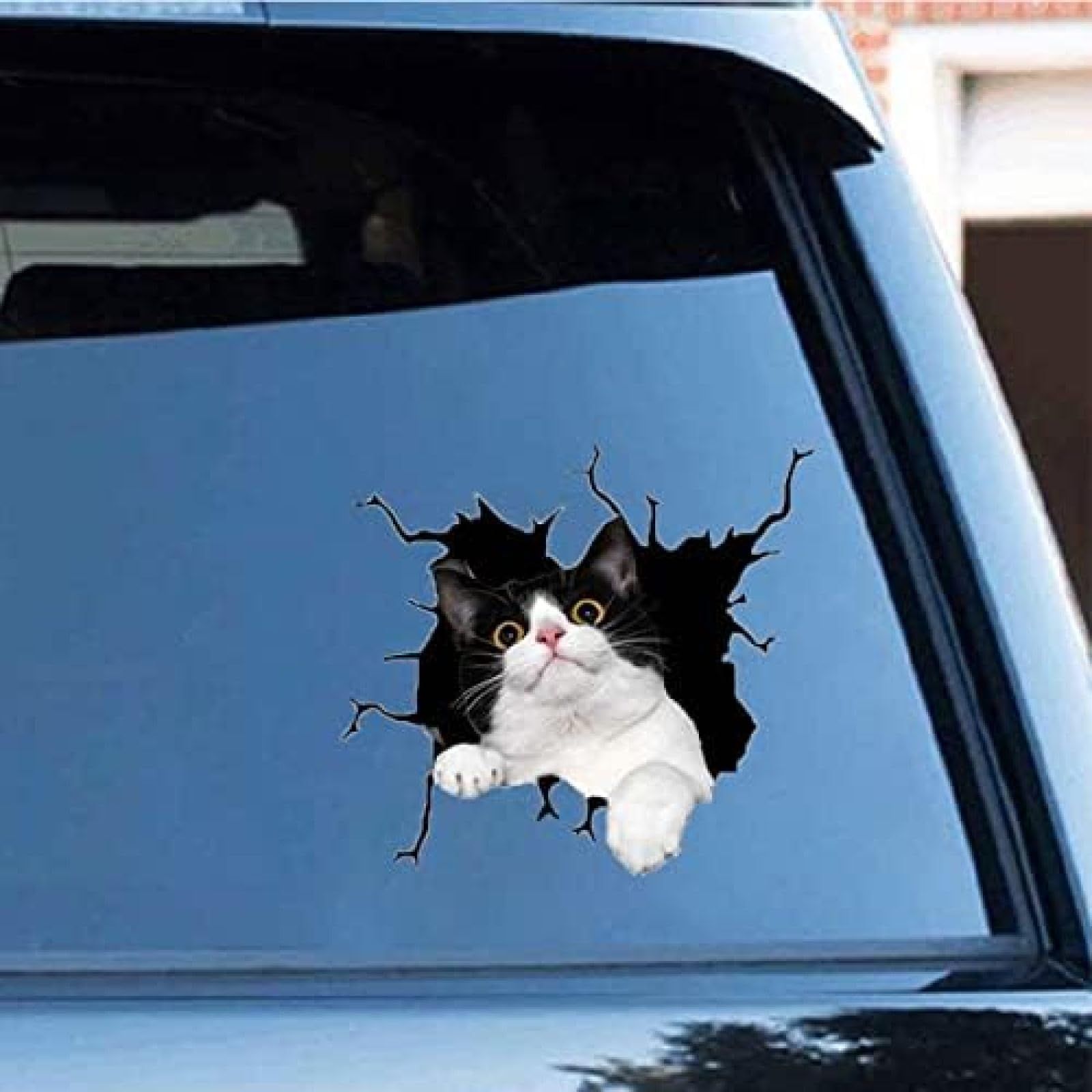 AIPASTN Tuxedo CAT CAR Cracking -Aufkleber, 11,8x11.8in 3D Vinyl wasserdichte Katze Autoabziehbilder Für Wandlaptop -Autofenster -Stoßfänger Kühlschrank 2PS AIPASTN Tuxedo CAT CAR Cracking -Aufkleber, 11,8x11.8in 3D Vinyl wasserdichte Katze Autoabziehbilder Für Wandlaptop -Autofenster -Stoßfänger Kühlschrank 2PS von AIPASTN