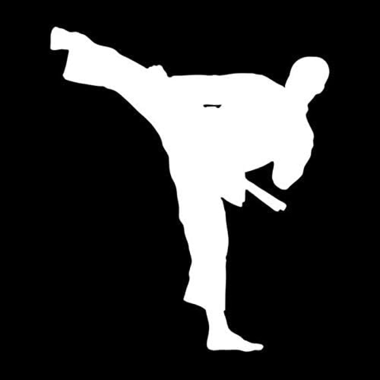 M330 Autoaufkleber Karate Handsome Boy Waagefeste Vinyl -Aufkleber -Autozubehör Pegatinas para Coche DIY Auto (1) 1PS von AIPASTN