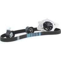 AIRTEX Wasserpumpe + Zahnriemensatz WPK-169001 Wasserpumpe + Zahnriemenkit FORD,FIAT,PEUGEOT,MONDEO IV Turnier (BA7) von AIRTEX