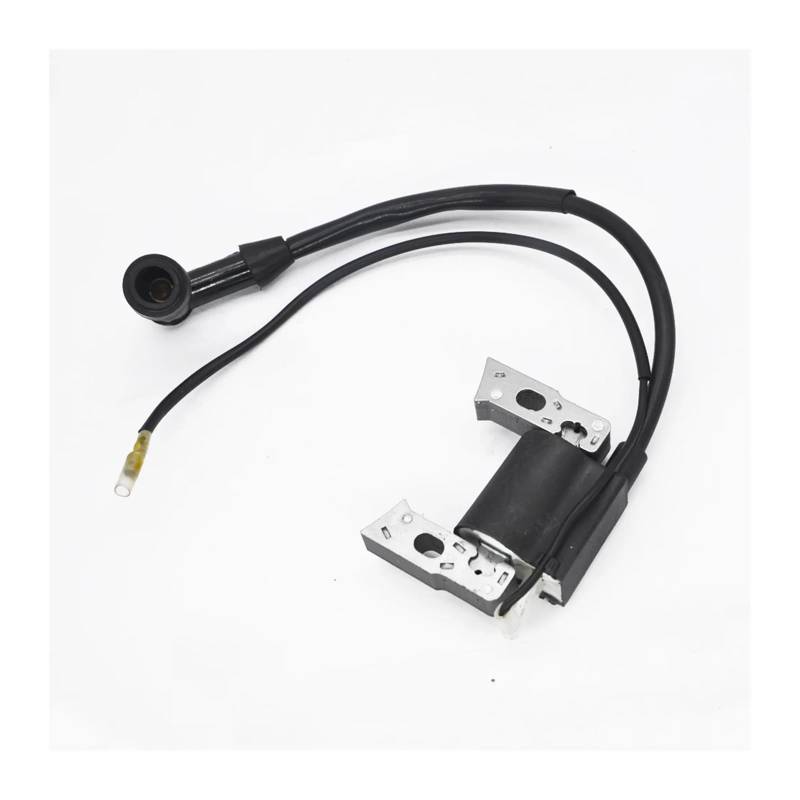 Motor Zündspule Für EF2600 Für MZ175 Motor Motor ZÜNDSPULE Magneto Zubehör Ersatz von AJQBRMB