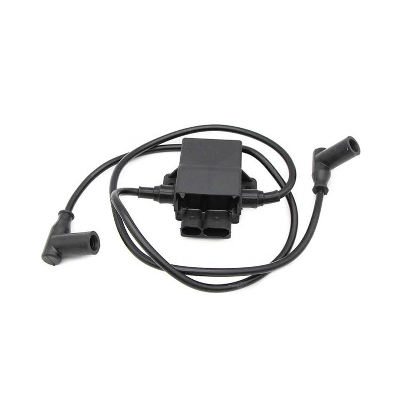 Motor Zündspule Für Polaris 4010364 4010696 4010785 Für Sportsman 700 2002-2004 Für Sportsman 600 03-04 Motorrad ATV Zündspule Assy von AJQBRMB