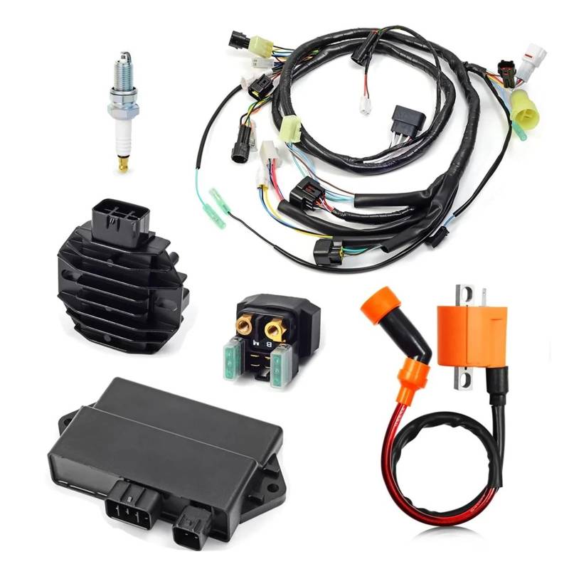 Motor Zündspule Für Raptor 350 Für YFM350R 2004-2013 5YT-82590/85540-00-00 Kabelbaum CDI Zündspule Pack Regler Rebuild Kit von AJQBRMB