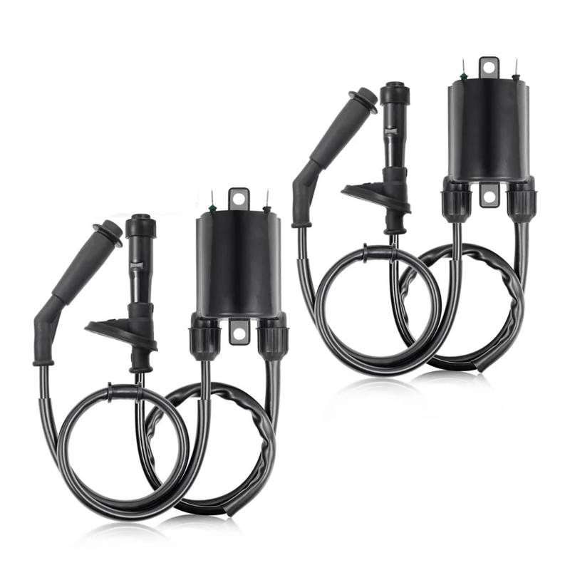 Motor Zündspule Für Shadow Für VLX 600 Für VT600 1988-2000 2001 2002 2003 2004 2005 2006 2007 2 Satz Zündspule Und Zündkerzenstecker von AJQBRMB