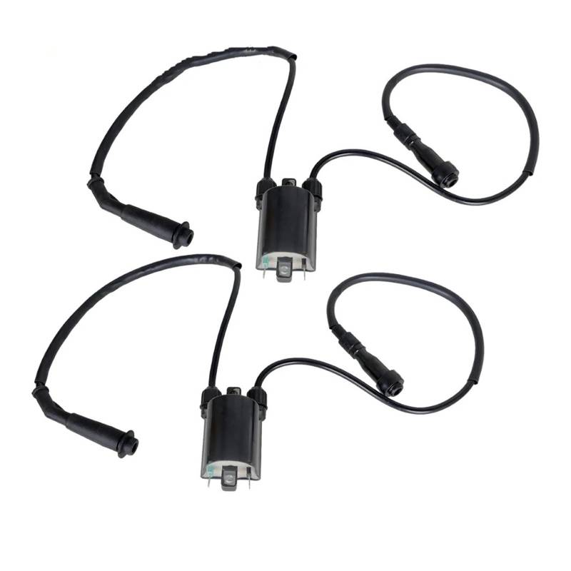 Motor Zündspule Für Shadow Für VLX Für VT600C 1988-2000 2001 2002 2003 2004 2005 2006 2007 2 Sätze Zündspule Und Zündkerzenkappe von AJQBRMB
