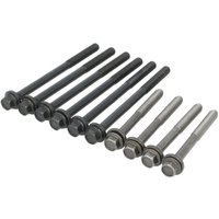 Zylinderkopfschraubensatz AJUSA 81024200 Zylinderkopfschraubensatz AJUSA 81024200 von Ajusa