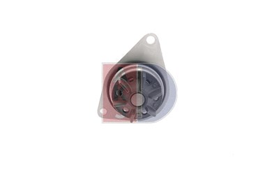 Aks Dasis Wasserpumpe [Hersteller-Nr. 570112N] für Citroën, Peugeot, Rover von AKS DASIS