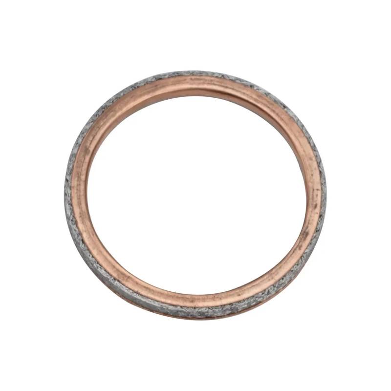 Motorrad Auspuffrohr Dichtung for WR450F 2021-2023 FZS1000 FZ1 2001-2015 FZ8 2011-2013 FZ-09 2014-2017(1pc) von ALADDINLUX