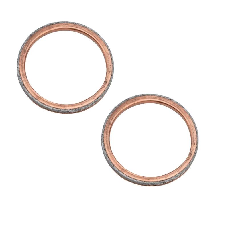 Motorrad Auspuffrohr Dichtung for WR450F 2021-2023 FZS1000 FZ1 2001-2015 FZ8 2011-2013 FZ-09 2014-2017(2pcs) von ALADDINLUX