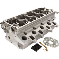 Zylinderkopf AMC 908050 Zylinderkopf AMC 908050 von AMC