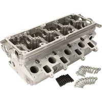Zylinderkopf AMC 908725 Zylinderkopf AMC 908725 von AMC