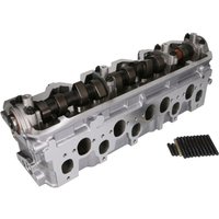 Zylinderkopf AMC 908813 Zylinderkopf AMC 908813 von AMC