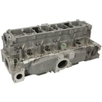 Zylinderkopf AMC 908833 Zylinderkopf AMC 908833 von AMC