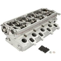 Zylinderkopf AMC 908925 Zylinderkopf AMC 908925 von AMC