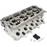 Zylinderkopf AMC 908927 Zylinderkopf AMC 908927 von AMC