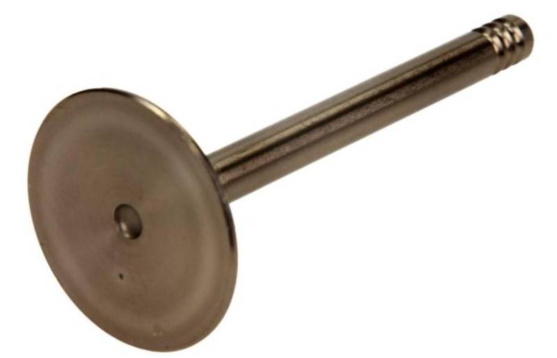 AMP Einlaßventil VW,AUDI,SEAT PVWG029-S-0-N 048109601A von AMP