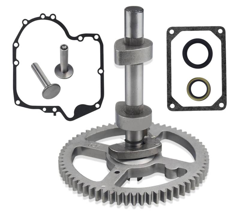 84005207 793880 Nockenwellen-Ersatzsatz – für BS 793583 792681 791942 795102 4-Takt-Kleinmotor Nockenwelle, mit 795387 Öldichtung, 697110 272475S Dichtungen, 690564 Ventilstößel von AMTHKNO