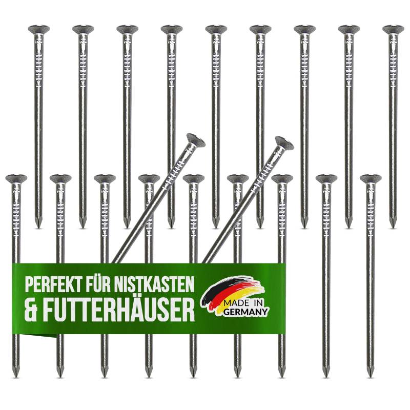 AMZoutdoor® 250x ECHTE Aluminium Nägel für Nistkästen & Futterhäuser | baumfreundliche Nägel | Alunägel | Befestigung für Vogeltränke und Nistkästen (250, 65 mm) von AMZoutdoor