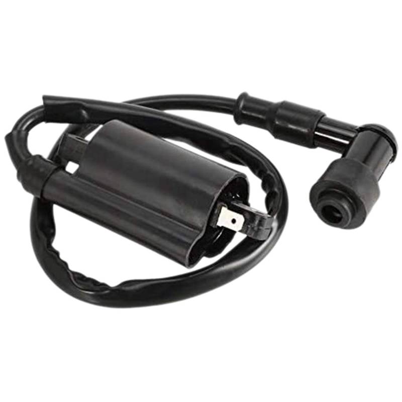 ANNJUC Motorrad ZüNdung Spulen Passend für GS125 GN125 VX250 Virago 1100 XV1100 XV-1100 1995-2007 von ANNJUC