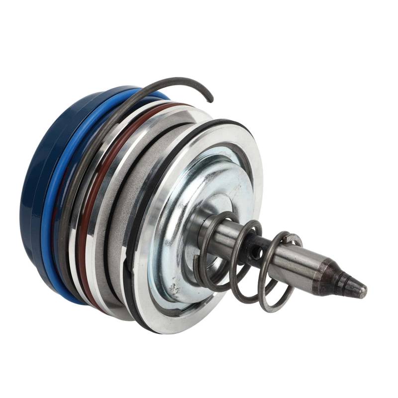 Servokolben -Assembler -Kit 4L60E 4L65E Getriebe Servokolben und Snap Ring 1982 Bis 2014 (Blau) von AOWINHIT