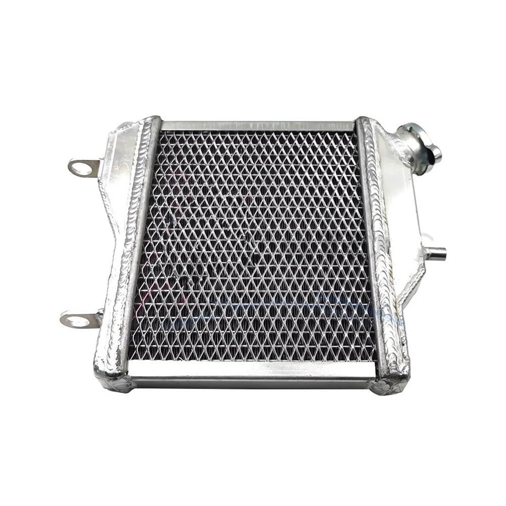 Kühlerabdeckung Schutzgitter Motorradteile 87–97 Für TZR125 Kühlergrill Kühlung Kühlmittel Wassertank Für Für TZR 125 1987–1997 Kühlergrill Kühlerabdeckung Schutzgitter Motorradteile 87–97 Für TZR125 Kühlergrill Kühlung Kühlmittel Wassertank Für Für TZR 125 1987–1997 Kühlergrill von APEYCRX