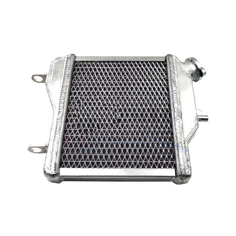 Kühlerabdeckung Schutzgitter Motorradteile 87–97 Für TZR125 Kühlergrill Kühlung Kühlmittel Wassertank Für Für TZR 125 1987–1997 Kühlergrill von APEYCRX