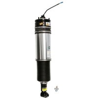 Luftfederbein ARNOTT EUROPE AS-2978 Luftfederbein ARNOTT EUROPE AS-2978 von Arnott Europe