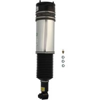 Luftfederbein ARNOTT EUROPE AS-2980 Luftfederbein ARNOTT EUROPE AS-2980 von Arnott Europe