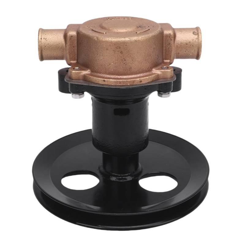 ARTOCT RAW SEA Water Pumpe Messing Metalllegierung 1 Zoll Intlet Outlet RA057007 Ersatz für Sherwood G20 G21 302 351 von ARTOCT