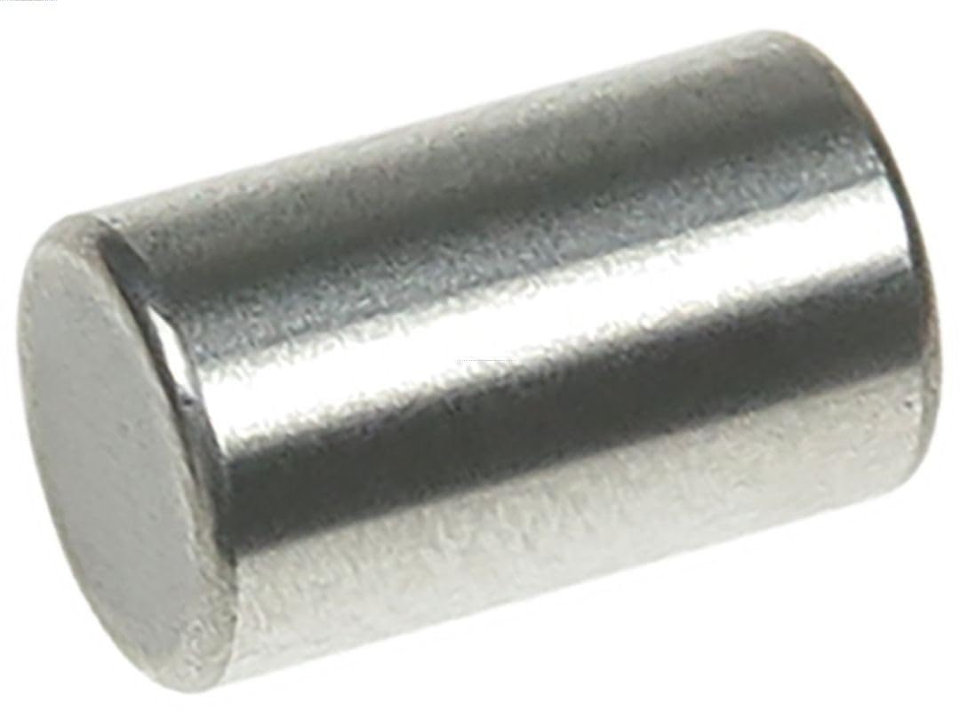 AS-PL SDK9025S Reparatursatz Starter 10mm 6mm AS-PL SDK9025S Reparatursatz Starter 10mm 6mm von AS