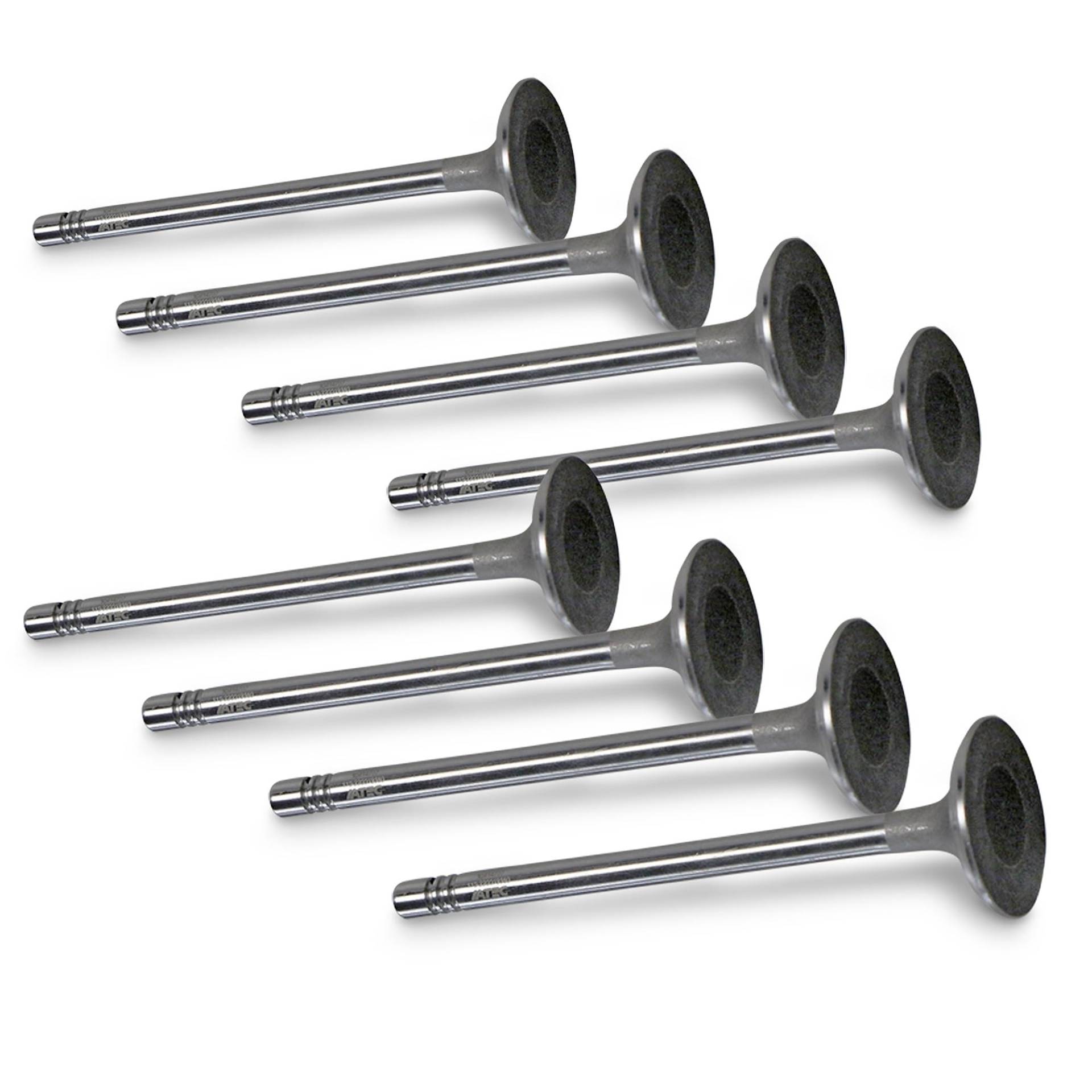 ATEC Germany 8x Einlaßventil ATEC Germany 8x Einlaßventil von ATEC Germany