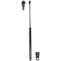 Gasfeder, Koffer-/Laderaum AUGER AUG55091 von Auger