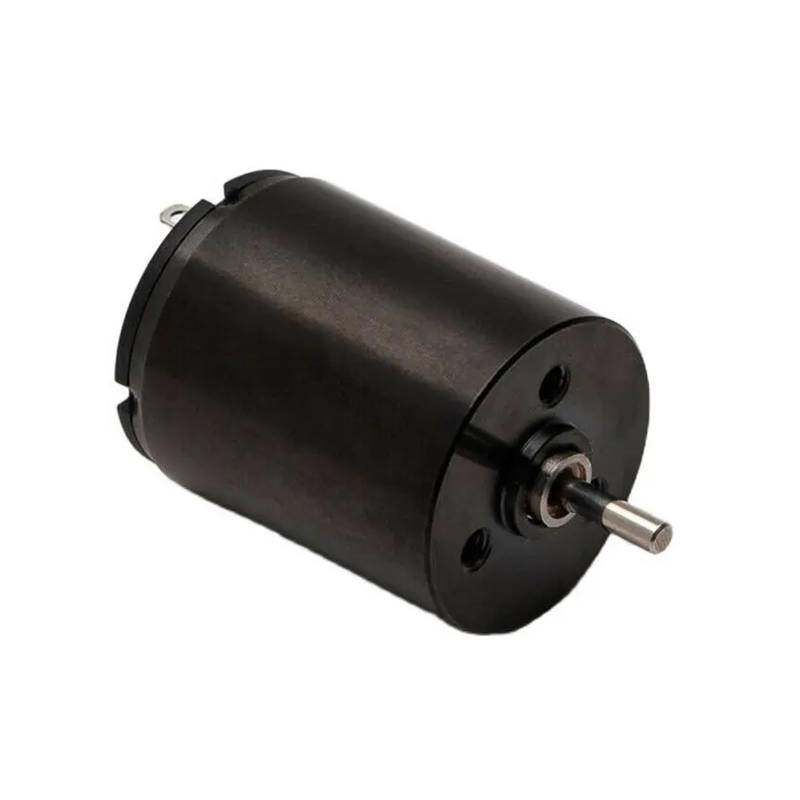 20mm*25mm 2025 Coreless electronic starter DC 12V 10500RPM High Speed 2mm Shaft Diameter Tattoo Machine electronic starter Replace Maxon electronic starter AUOQKQUT von AUOQKQUT