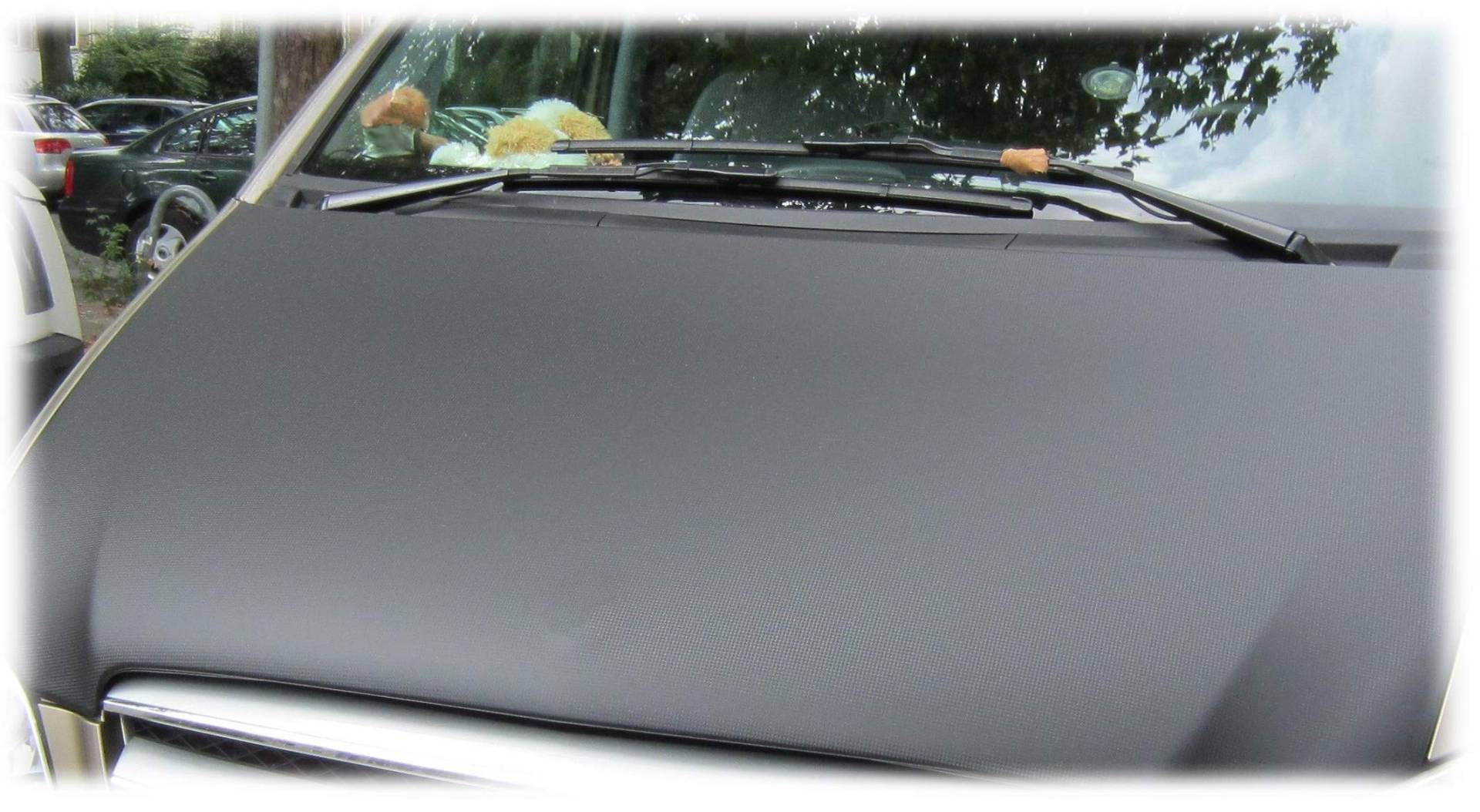 AB3-00346 Vollbra in CARBON OPTIK Auto-BRA kompatibel mit Peugeot Citroen Jumpy Spacetourer Toyota ProAce ProAce Verso Bj. ab 2016, Opel Vivaro Zafira Life Bj. ab 2019 Haubenbra Steinschlagschutz AB3-00346 Vollbra in CARBON OPTIK Auto-BRA kompatibel mit Peugeot Citroen Jumpy Spacetourer Toyota ProAce ProAce Verso Bj. ab 2016, Opel Vivaro Zafira Life Bj. ab 2019 Haubenbra Steinschlagschutz von Auto-Bra
