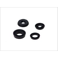 Reparatursatz, Hauptbremszylinder AUTOFREN SEINSA D1496 Reparatursatz, Hauptbremszylinder AUTOFREN SEINSA D1496 von Autofren Seinsa