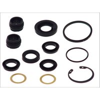 Reparatursatz, Hauptbremszylinder AUTOFREN SEINSA D1523 Reparatursatz, Hauptbremszylinder AUTOFREN SEINSA D1523 von Autofren Seinsa