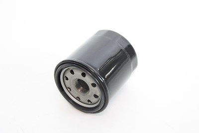 Automega Ölfilter [Hersteller-Nr. 180037610] für Chevrolet, Daewoo, Daihatsu, Nissan, Opel, Piaggio, Subaru, Suzuki von AUTOMEGA