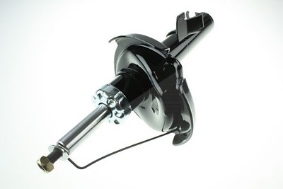 Automega Stoßdämpfer [Hersteller-Nr. 110012410] für Ford von AUTOMEGA