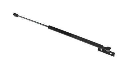 Automega Gasfeder, Motorhaube [Hersteller-Nr. 210202210] für Opel von AUTOMEGA