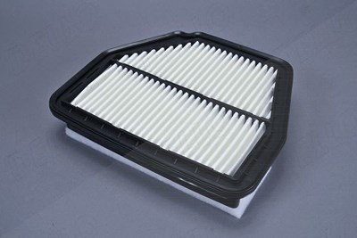 Automega Luftfilter [Hersteller-Nr. 210075910] für Chevrolet, Opel von AUTOMEGA