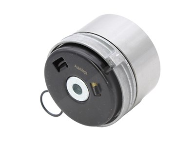 Automega Spannrolle, Zahnriemen [Hersteller-Nr. 210184410] für Alfa Romeo, Chevrolet, Fiat, Opel, Saab von AUTOMEGA