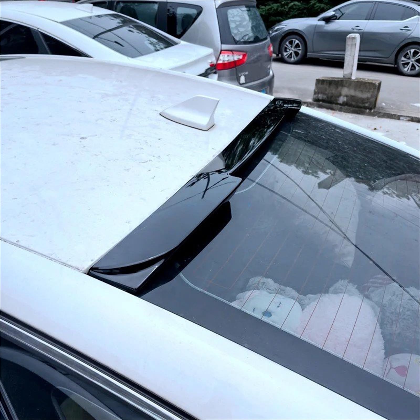 Heckspoiler Für Ford Für Mondeo MK5 2013 2014 2015 2016 2017 2018 Dach Spoiler ABS Material Auto Hinten Flügel(Carbon Fiber Pattern) von AVFORA