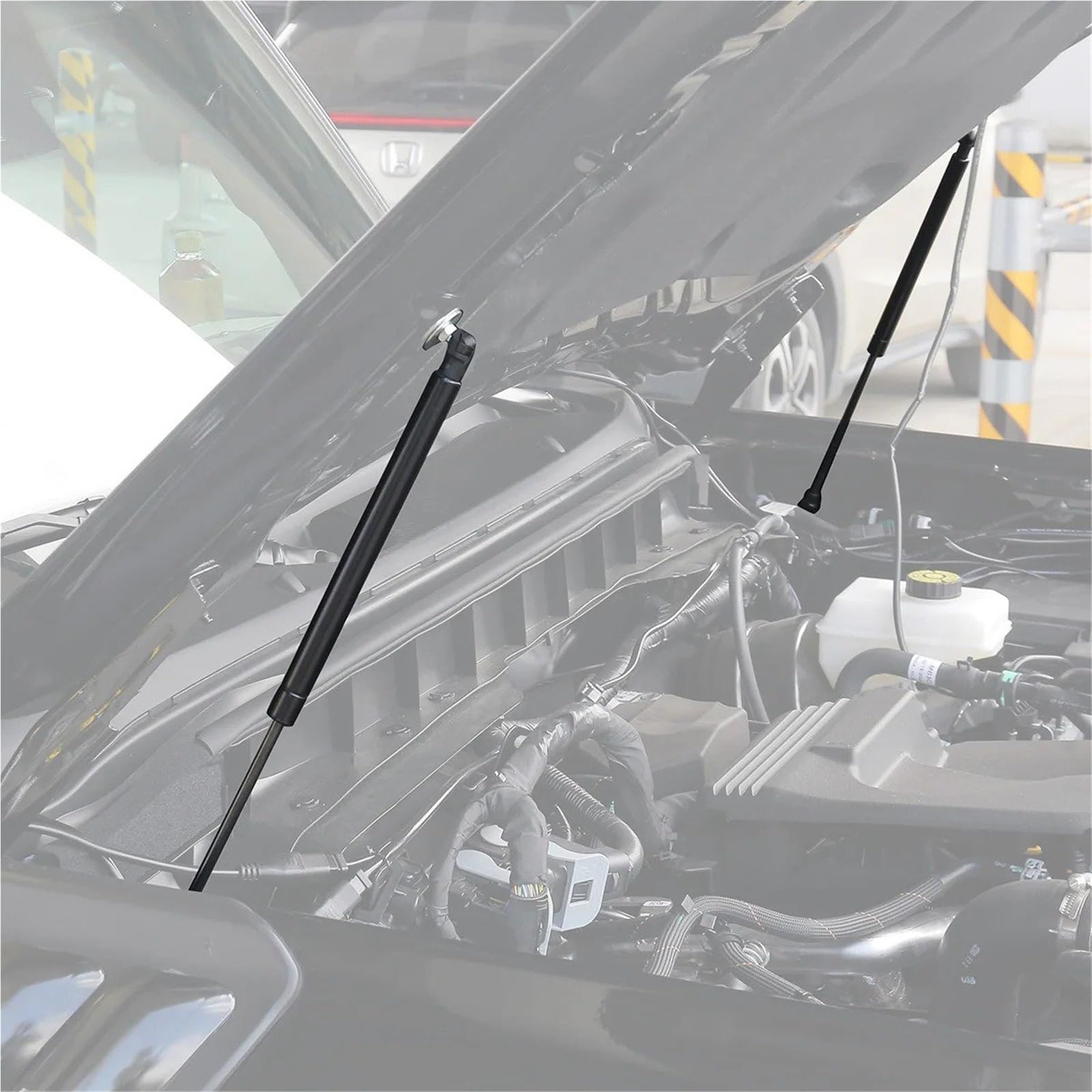 Hydraulische Gasdruckfeder 2Pcs Für Ford Für Bronco 2021 2022 2023 2024 Quellen Shock Lift Unterstützt Ersetzt Front Hood Lift Unterstützt Schock Streben Hydraulische Gasdruckfeder 2Pcs Für Ford Für Bronco 2021 2022 2023 2024 Quellen Shock Lift Unterstützt Ersetzt Front Hood Lift Unterstützt Schock Streben von AVFORA