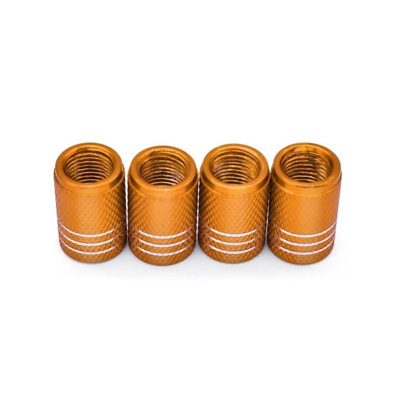 AXCAR Reifen Ventilkappen Motorrad Rad Reifen Vorbau Abckungen Für F800GS Für F700GS Für R1250GS Für R1200GS Für G310GS Für F 800 GS Für R 1200 GS Motorrad Bolzen(Color5) von AXCAR