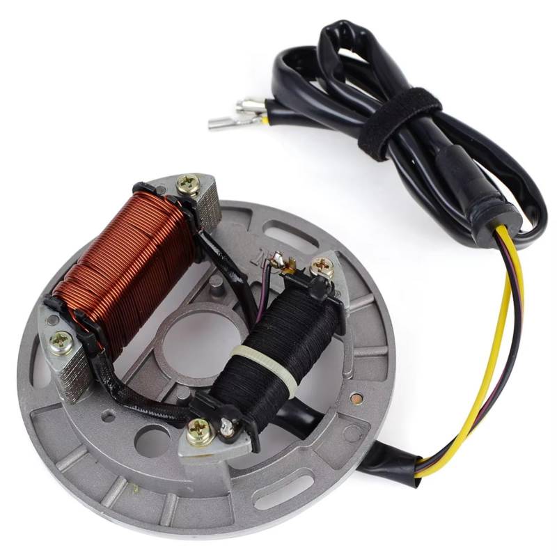 AXCDEVFC Motorrad Statorspule Kompatibel Mit Suzuki Für LT80 Für Quadsport 1987-2006 32101-40B00 Motorrad-Statorspule Motorrad-Magneto-Statorplatte Zündspule von AXCDEVFC