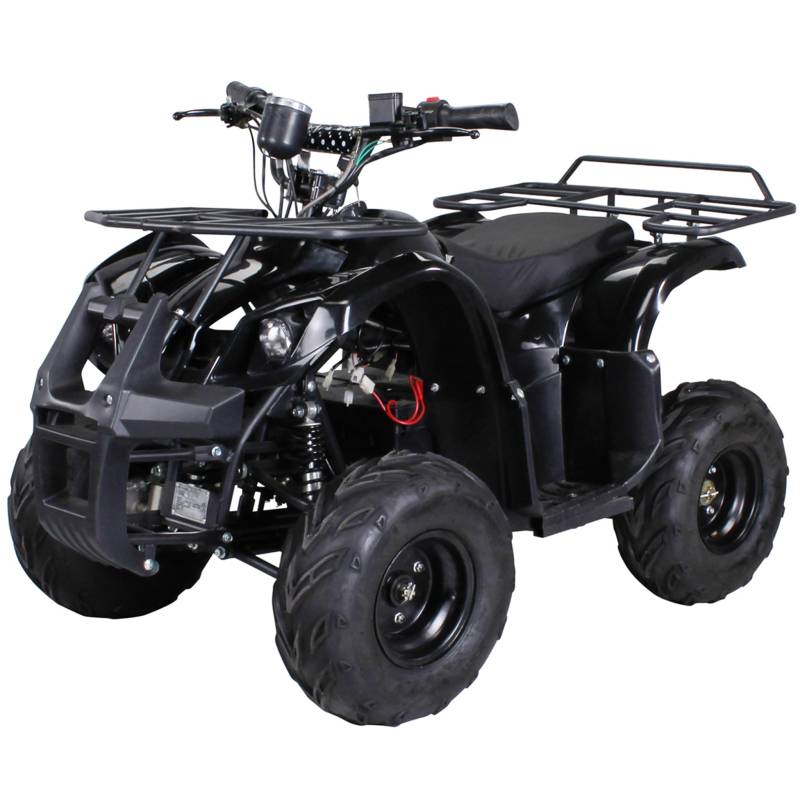 Actionbikes Motors Kinder Quad Elektro ATV S-8 Farmer | 𝟒𝟖 Volt 𝟭𝟬𝟬𝟬 Watt Motor bis 𝟐𝟬 km/h - Kinderquad - Pocket Quad - Scheibenbremsen - Miniquad - Für Kinder ab 8 Jahren (Schwarz) von Actionbikes Motors