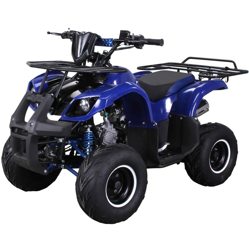 Actionbikes Motors Kinder Quad ATV S-8 Farmer 125 cc | 4-Takt 125ccm Motor bis 𝟓𝟎 km/h - Kinderquad - Pocket Quad - Miniquad - Benzin Quads - Kinderfahrzeug - Für Kinder ab 8 Jahren (Blau) von Actionbikes Motors