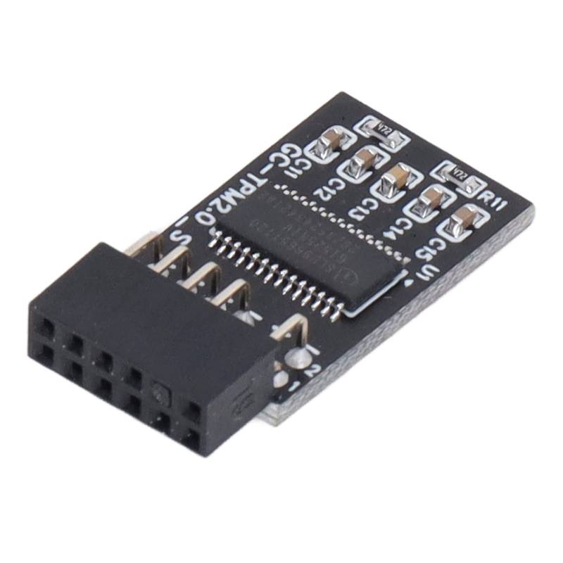 TPM 2.0-Modul, Remote Card Encryption Security Module 12Pin Remote Card Encryption Security Board Zubehör Für GIGABYTE Motherboards von Agatige