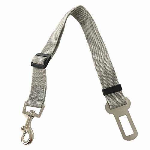 Hunde-Sicherheits-Gurt 2er Set fürs Auto | Anschnallgurt Hund für eine sichere Autofahrt grau von AGIA TEX Hunde-Sicherheits-Gurt 2er Set fürs Auto | Anschnallgurt Hund für eine sichere Autofahrt grau von AGIA TEX von AGIA TEX Germany