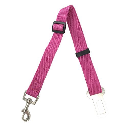 Hunde-Sicherheits-Gurt 2er Set fürs Auto | Anschnallgurt Hund für eine sichere Autofahrt pink von AGIA TEX Hunde-Sicherheits-Gurt 2er Set fürs Auto | Anschnallgurt Hund für eine sichere Autofahrt pink von AGIA TEX von AGIA TEX Germany