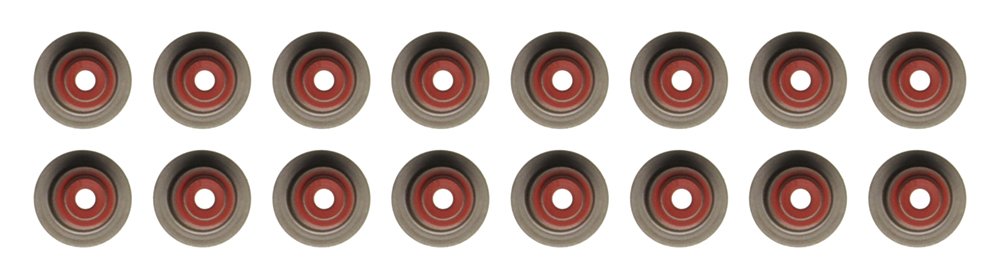 Ajusa 57053200 Dichtungssatz, Ventilschaft Ajusa 57053200 Dichtungssatz, Ventilschaft von Ajusa